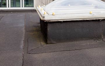 disadvantages of Drumnasoo flat roofs