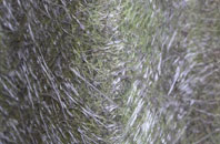 Drumnasoo fibreglass roof work